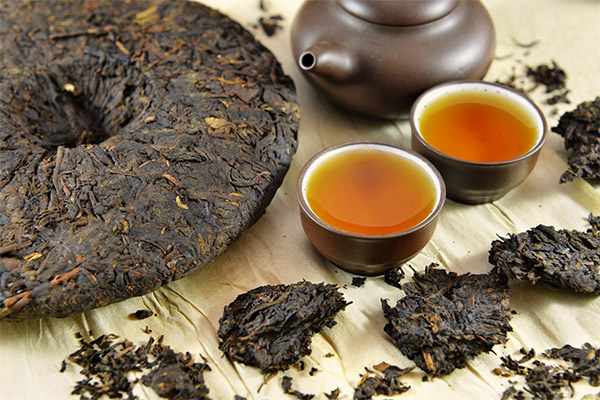 The benefits and harms of puerh tea
