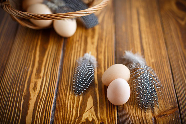 The benefits and harms of guinea fowl eggs