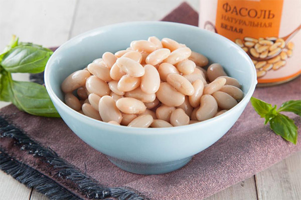 Benefits and Harms of Canned White Beans