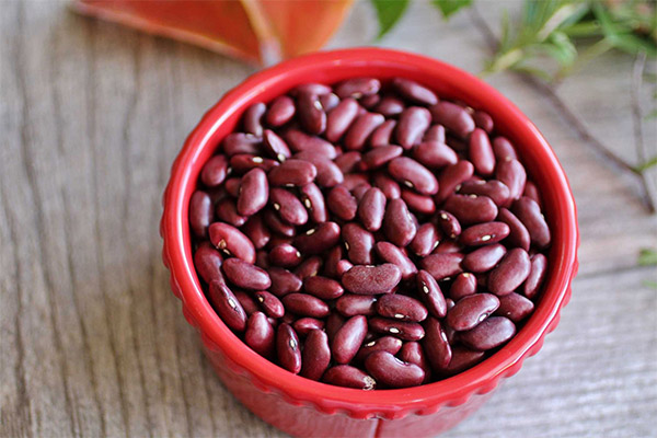 Benefits and Harms of Red Beans