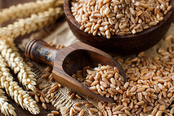 The benefits and harms of spelt