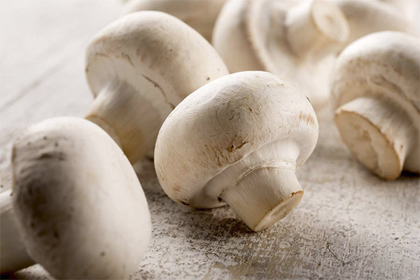 The benefits and harms of mushrooms