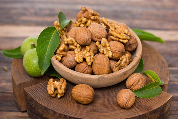 The application of walnuts in folk medicine