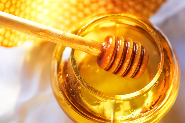 Culinary Applications of Honey