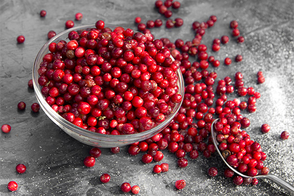 Recipes of traditional medicine based on cowberries