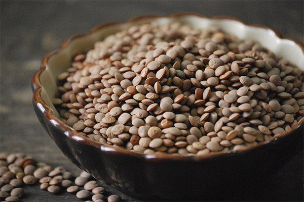 Recipes of traditional medicine on the basis of lentils