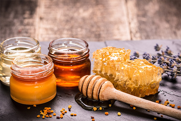 Honey based folk medicine recipes