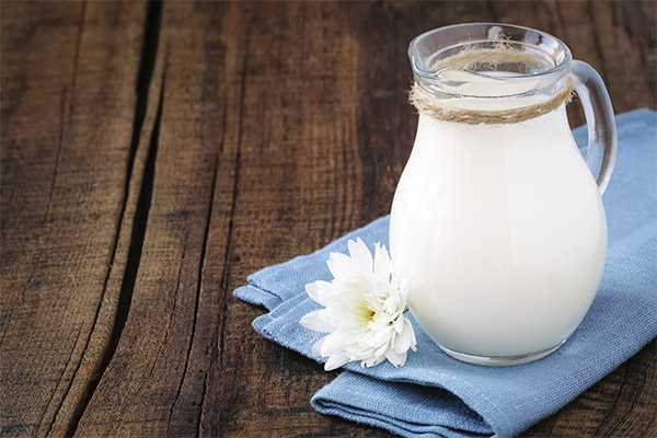 Traditional Medicine Recipes with Milk