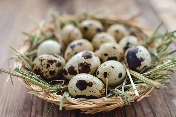 Recipes of traditional medicine based on quail eggs