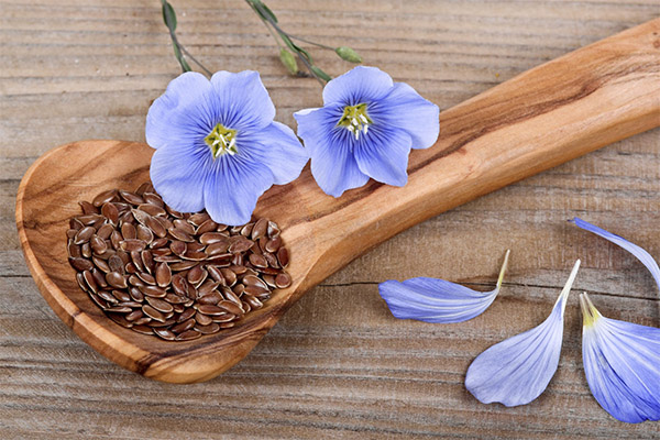Flax seeds in medicine