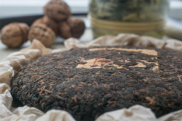 Contraindications and Harms of Puer Tea