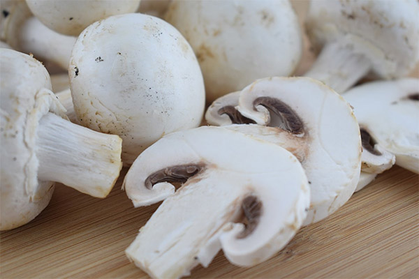 Harm and contraindications of champignons