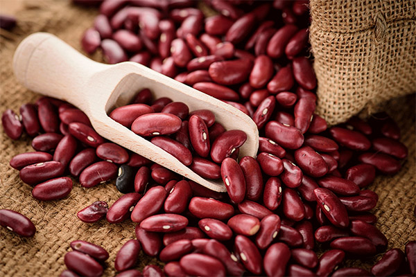 Selection and storage of red beans
