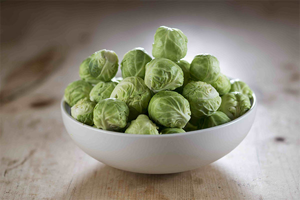 Brussels sprouts in medicine