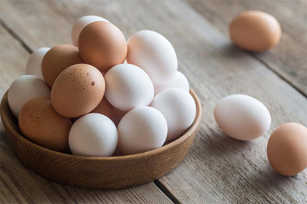 白い卵と褐色の卵の違い