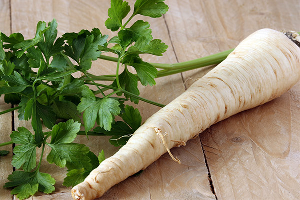 What is the usefulness of parsley root