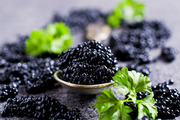 Black caviar in medicine