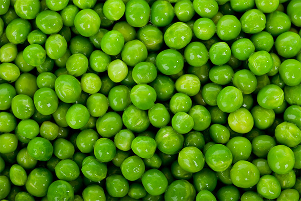 Interesting Facts about Peas