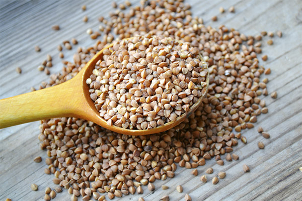 Interesting Facts about Buckwheat