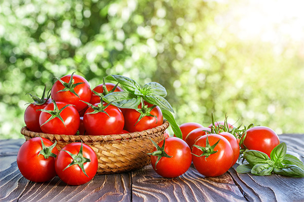 Interesting facts about tomatoes