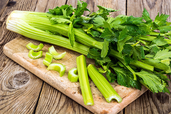 Interesting facts about celery