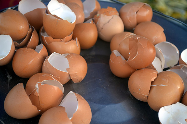 How to give eggshells in children