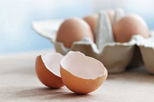 How to store the egg shells correctly
