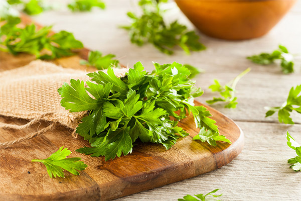 How to take parsley for weight loss