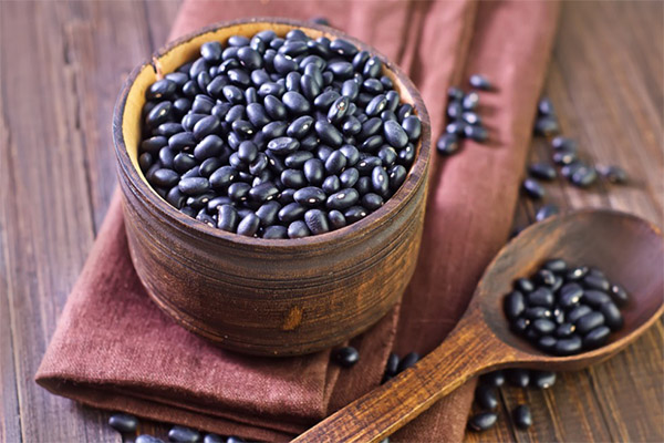 How to choose and store black beans