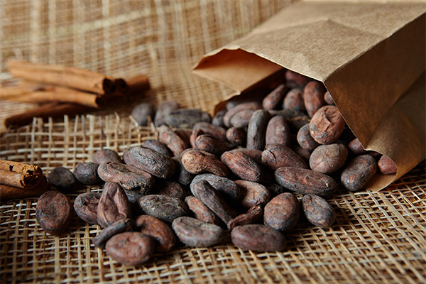 How to choose and store cocoa beans