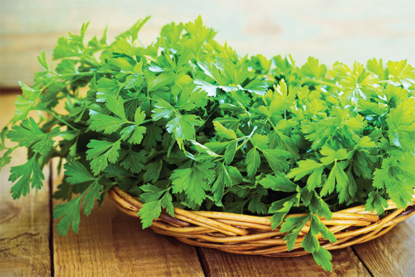 How to choose and store parsley
