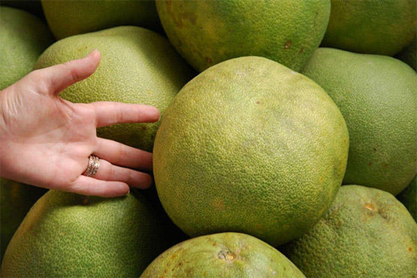 How and where to store pomelo