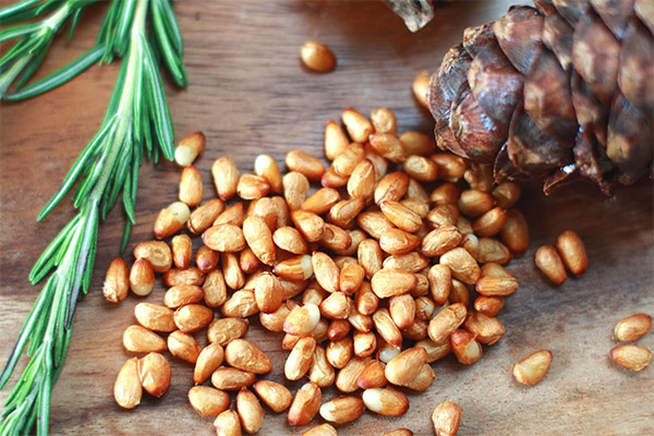 Pine nuts in medicine