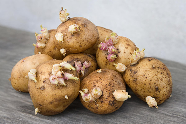 Therapeutic Properties of Potato Sprouts