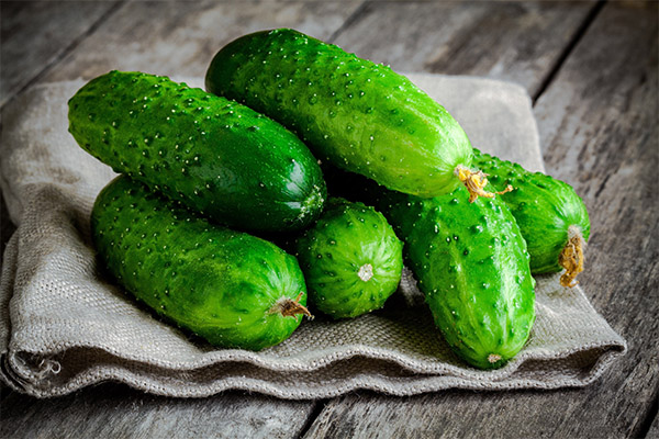 Cucumbers in medicine
