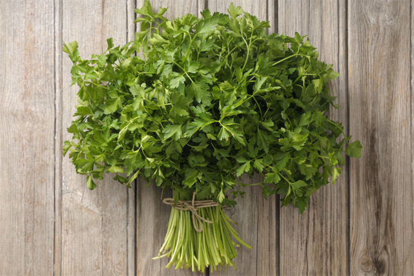 Useful properties of parsley