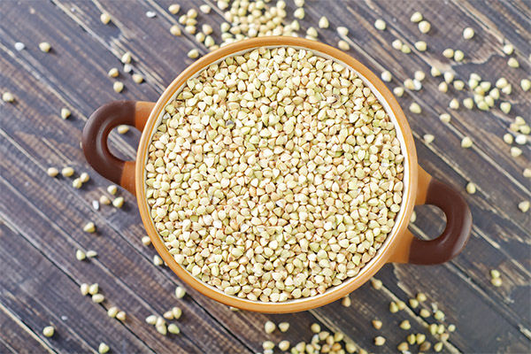 Useful properties of green buckwheat