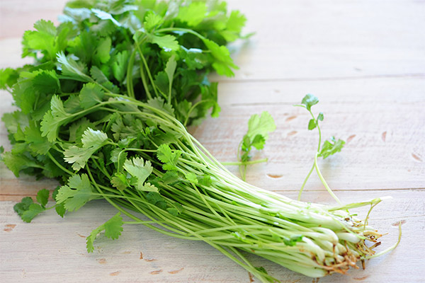 The benefits and harms of cilantro
