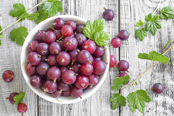 The benefits and harms of gooseberries
