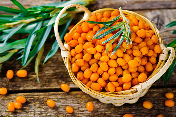 The benefits and harms of sea buckthorn
