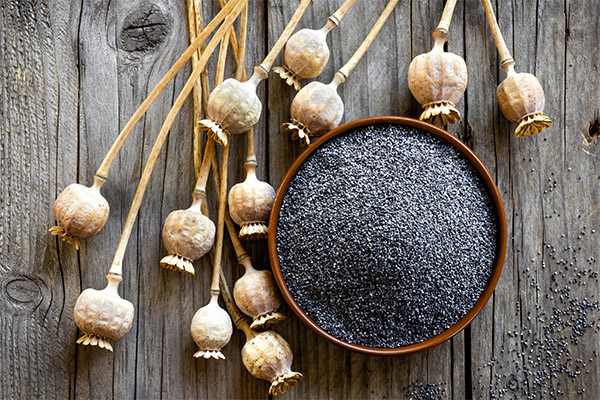 The benefits and harms of poppy seeds
