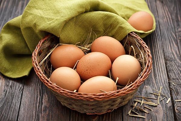 茶色い卵の効用