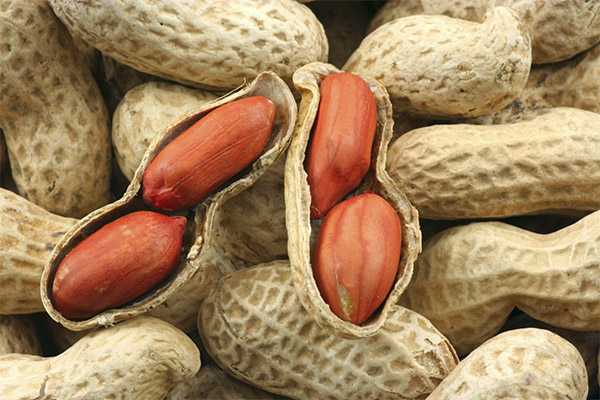 Recipes of folk medicine on the basis of a peanut
