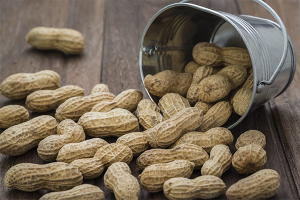 Hazard and contraindications of peanuts
