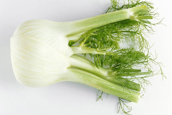 Fennel in cosmetics