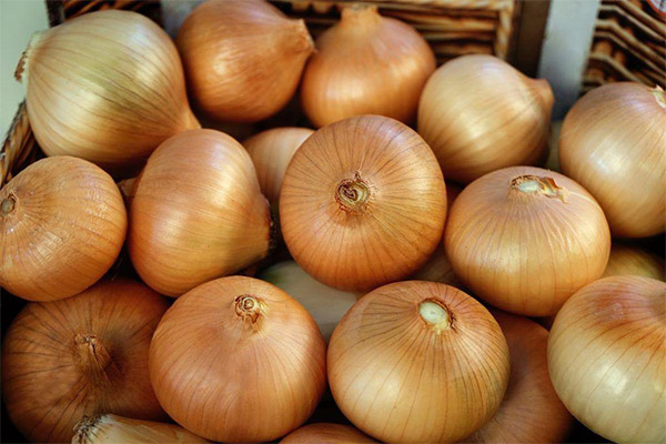 Interesting facts about onions