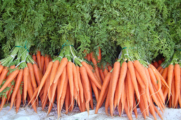 Interesting facts about carrots