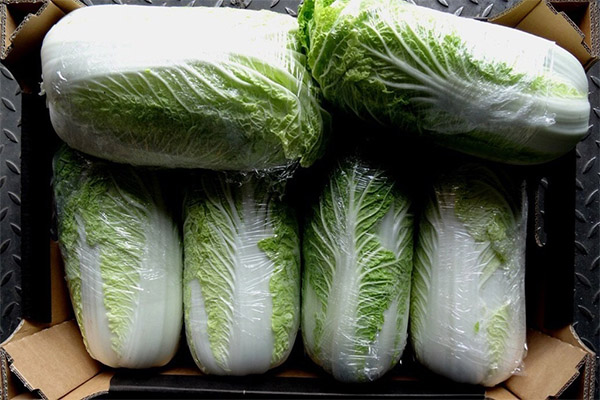 How to choose and store the Chinese cabbage