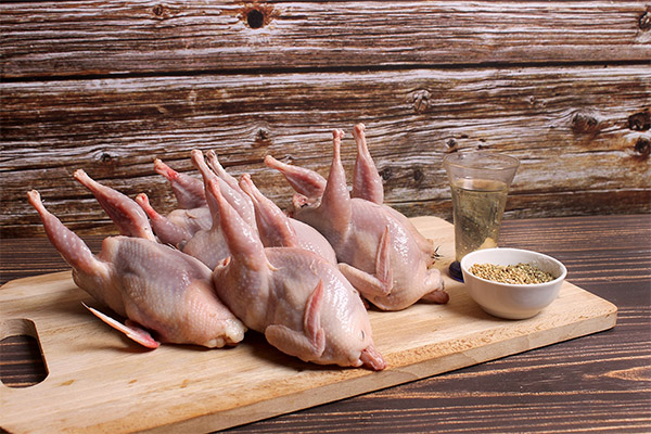 How to choose and store quail meat