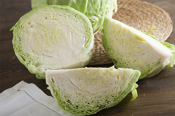 How to choose cabbage for juice